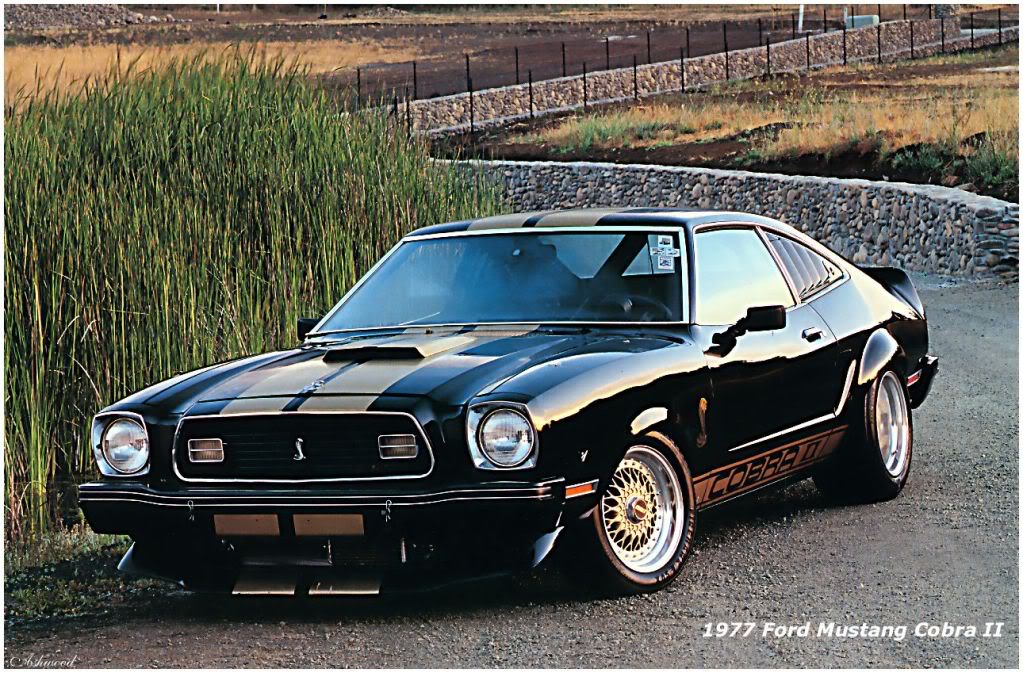 Name:  1977_Ford_Mustang_Cobra_II.jpg
Views: 264
Size:  192.1 KB