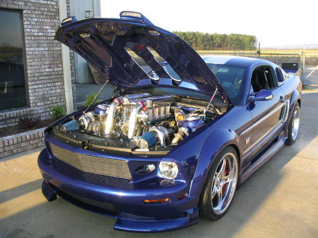 Name:  2006-shadrach-edition-mustang-under.jpg
Views: 26
Size:  59.8 KB