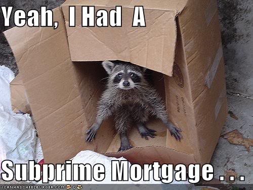 Name:  funny-pictures-raccoon-subprime-mor.jpg
Views: 15
Size:  38.7 KB