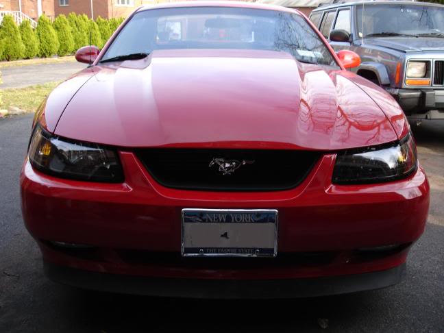 Name:  Mustang1.jpg
Views: 67
Size:  37.5 KB