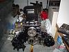 Anyone intrested in 5.4L swaps, in here. Need you to opine.-dsc01826.jpg