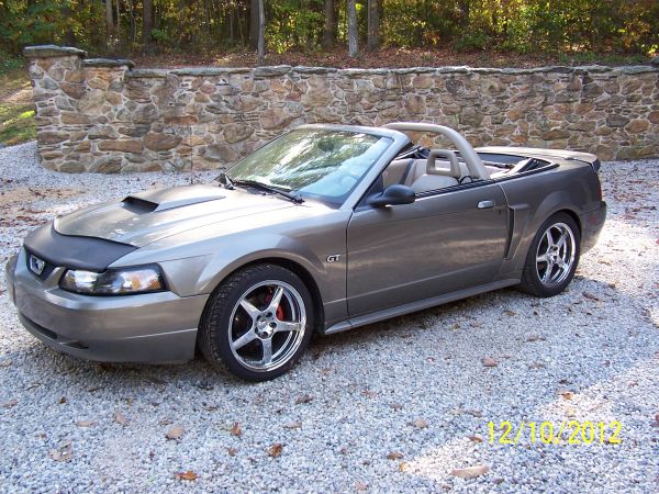 Name:  MyMustang_zpsd3a084c7.jpg
Views: 111
Size:  89.6 KB