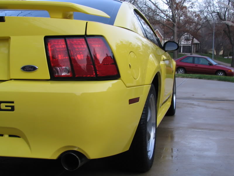 Name:  Mustang2-1.jpg
Views: 25
Size:  63.9 KB