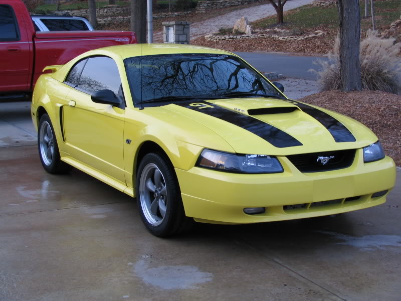 Name:  Mustang7.jpg
Views: 23
Size:  90.2 KB