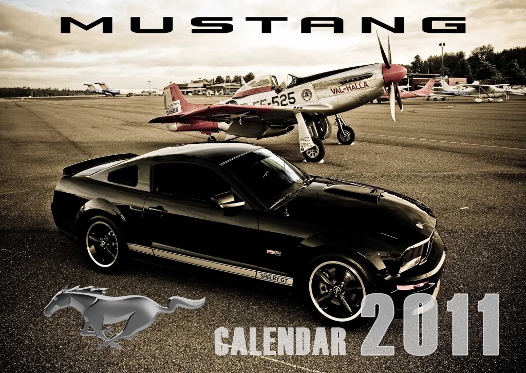 Name:  mustang_cover.jpg
Views: 57
Size:  224.6 KB