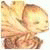 Bloortifeteld's Avatar