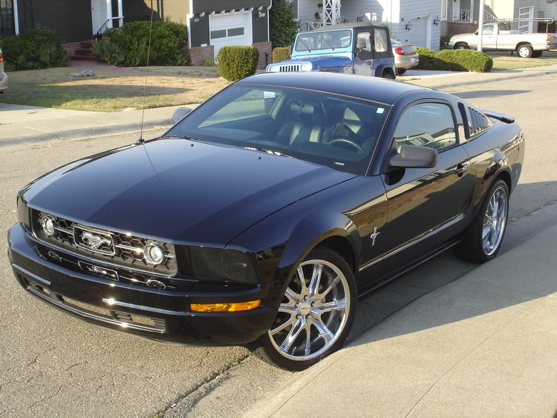 Name:  DSC03094.jpg
Views: 104
Size:  131.1 KB