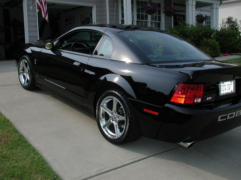 Name:  03cobraleftside.jpg
Views: 47
Size:  97.9 KB