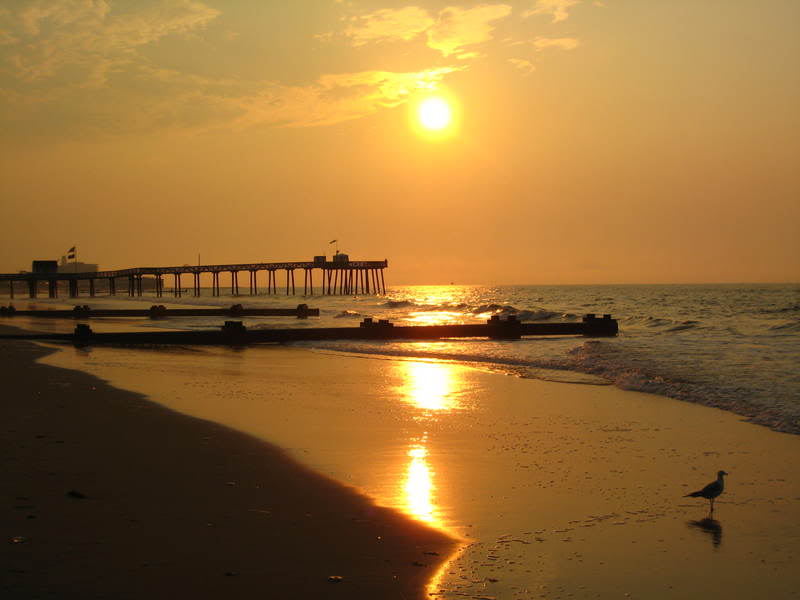 Name:  IMG_1191.jpg
Views: 25
Size:  39.7 KB