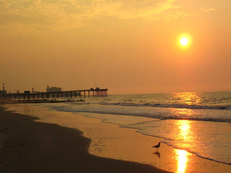 Name:  IMG_1143.jpg
Views: 27
Size:  40.0 KB