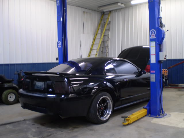 Name:  P3280030.jpg
Views: 371
Size:  47.8 KB