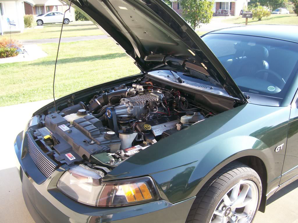 Name:  100_0172.jpg
Views: 88
Size:  150.5 KB