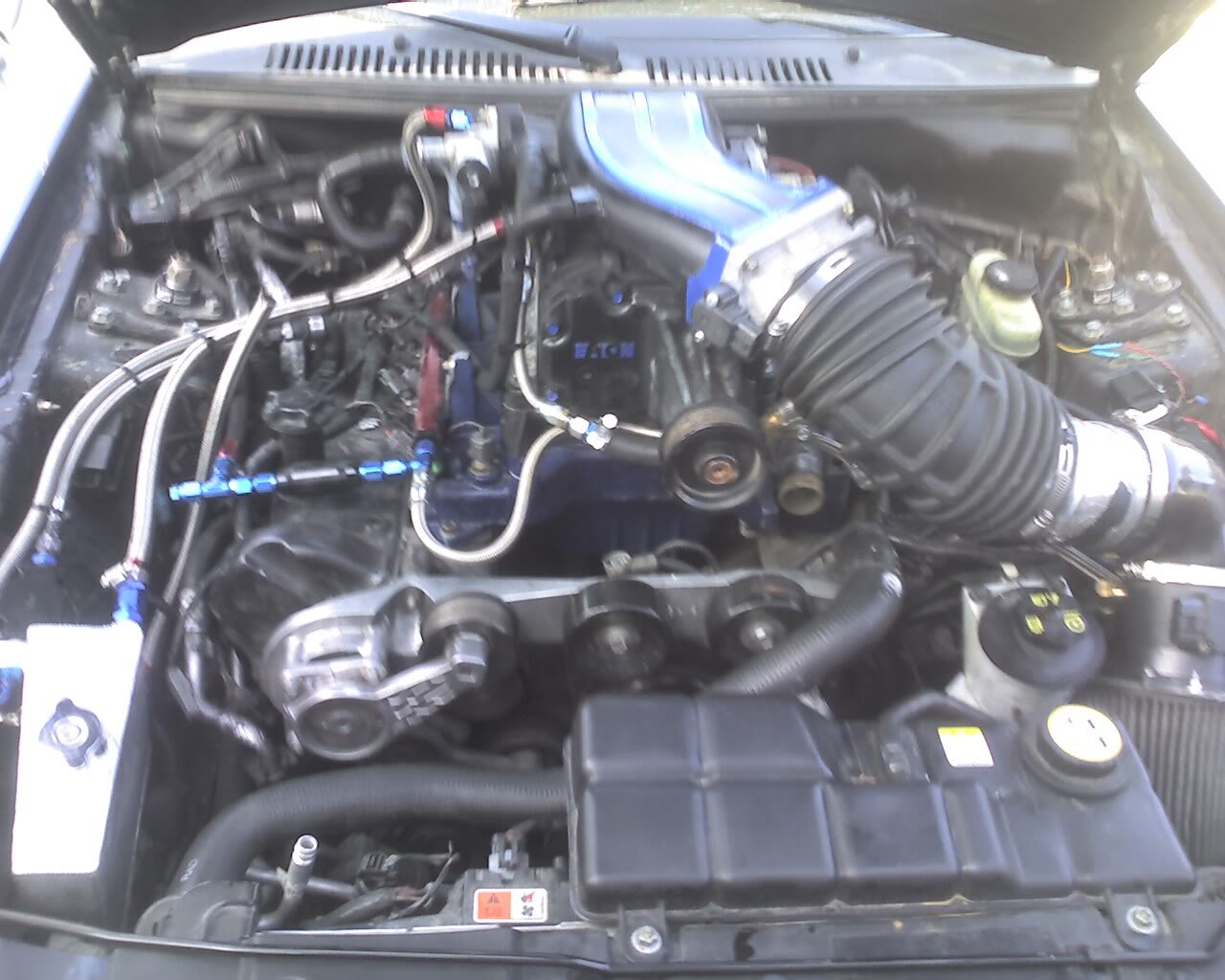 Name:  Photo_101109_002.jpg
Views: 94
Size:  147.6 KB