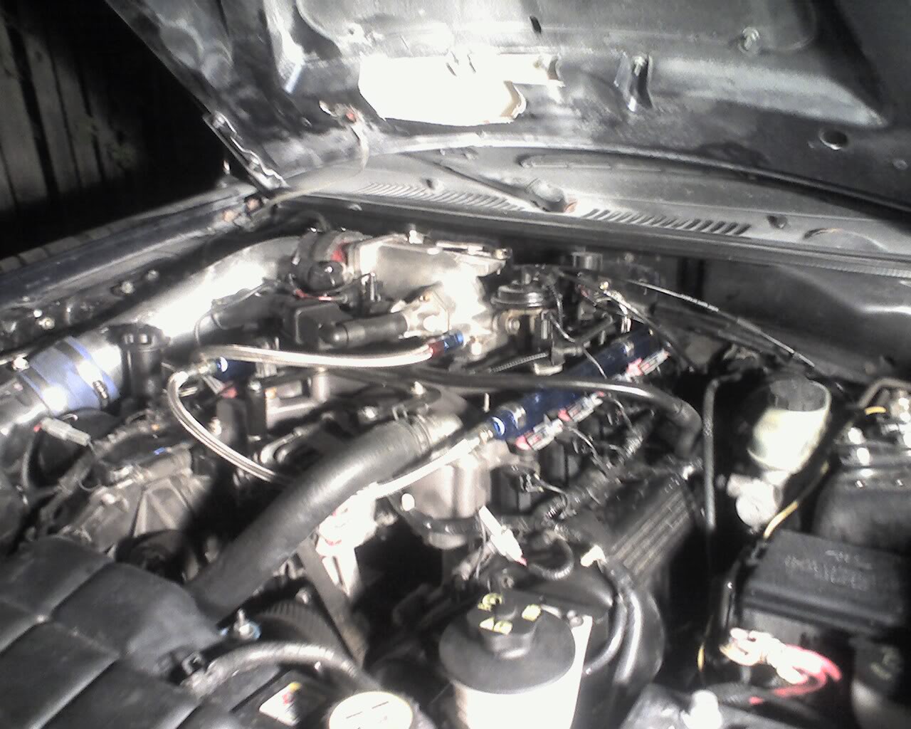 Name:  Photo_110307_001.jpg
Views: 137
Size:  191.5 KB