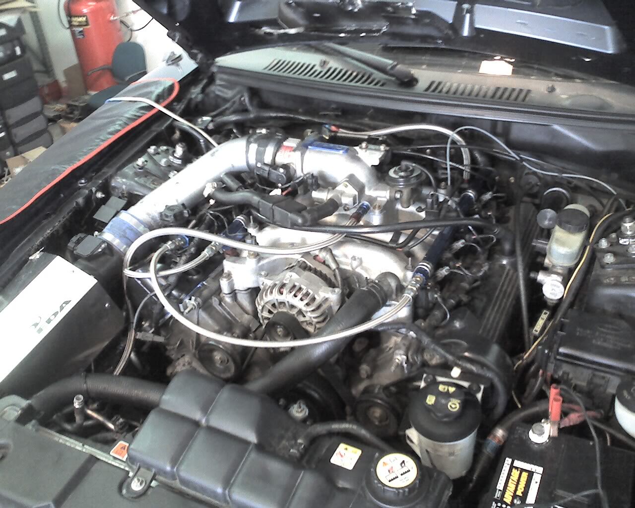 Name:  Photo_031109_002.jpg
Views: 138
Size:  235.2 KB