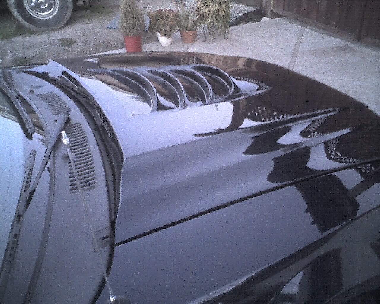 Name:  Photo_041609_004.jpg
Views: 112
Size:  196.9 KB