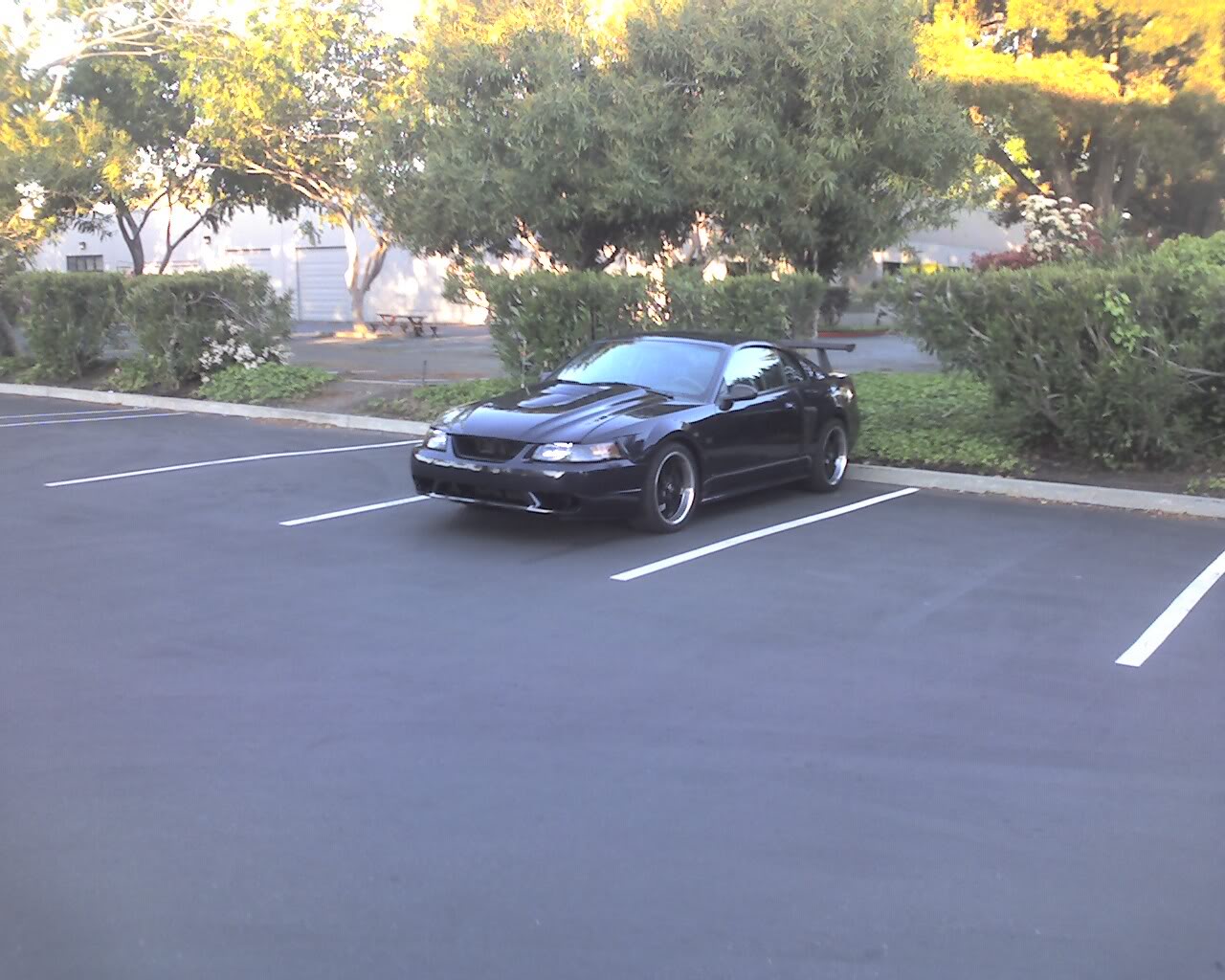 Name:  Photo_041709_001.jpg
Views: 104
Size:  177.9 KB