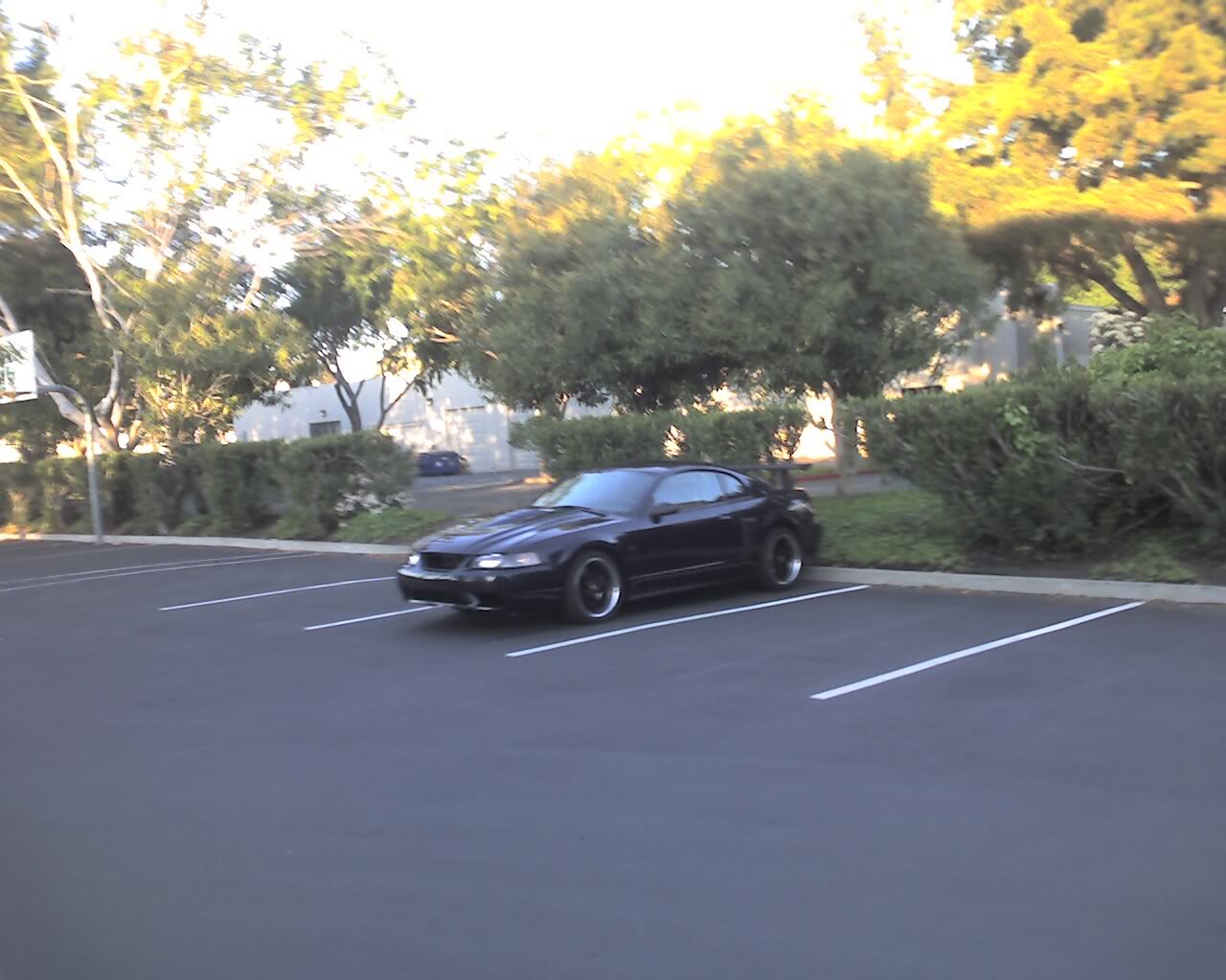 Name:  Photo_041709_003.jpg
Views: 102
Size:  146.3 KB