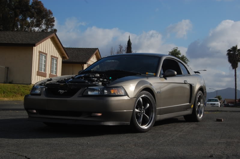 Name:  DSC_0076.jpg
Views: 116
Size:  91.9 KB