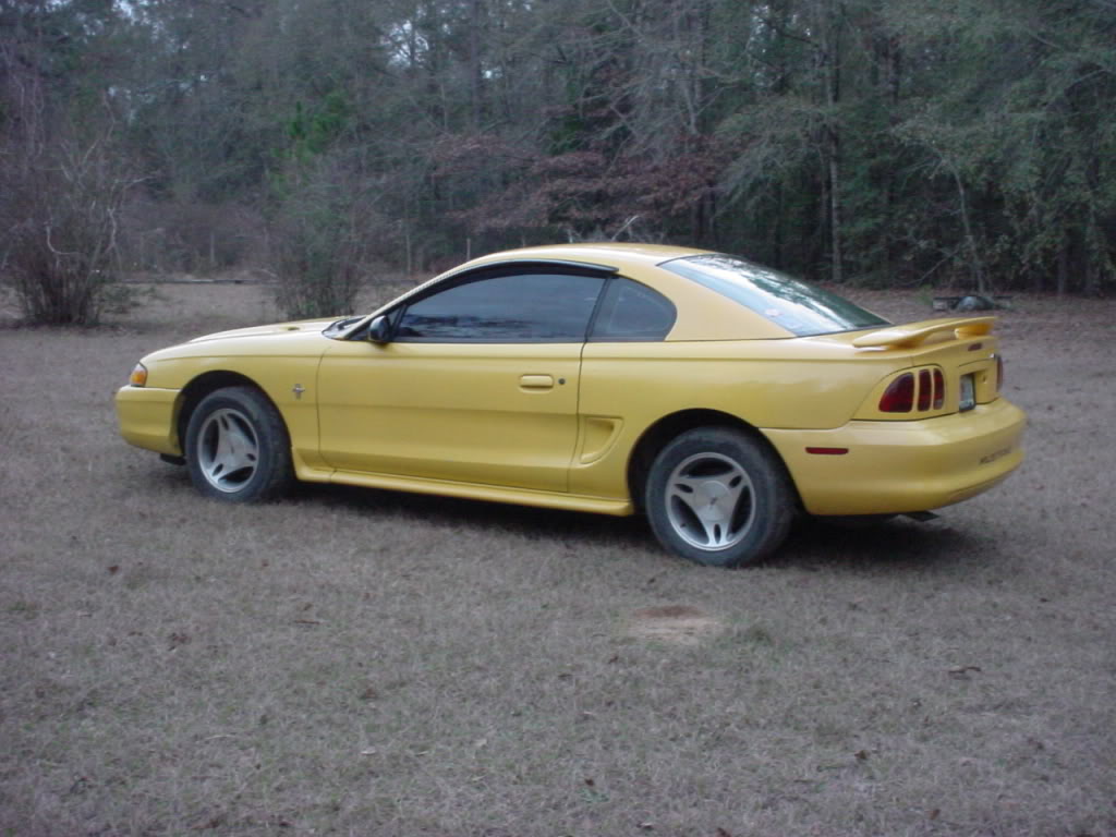 Name:  Mustang006.jpg
Views: 22
Size:  105.5 KB