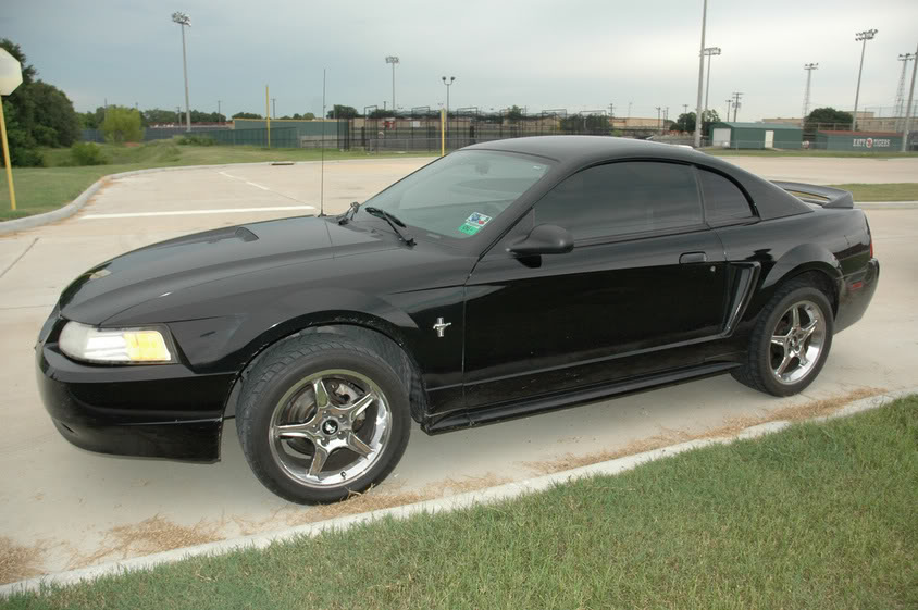 Name:  mustang.jpg
Views: 38
Size:  97.5 KB