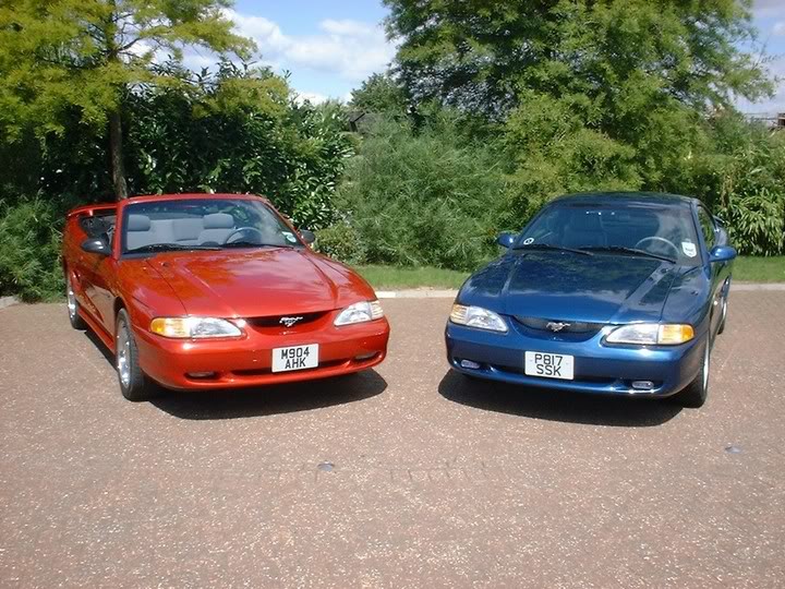 Name:  molliecoupe4.jpg
Views: 38
Size:  119.4 KB