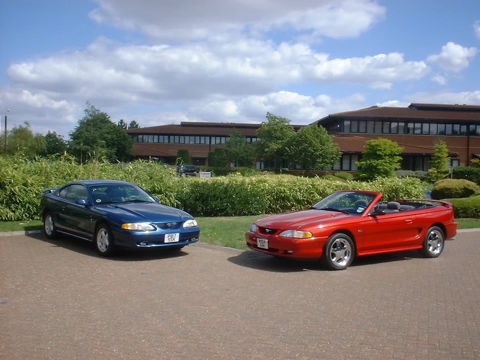 Name:  Molliecoupe.jpg
Views: 32
Size:  117.8 KB