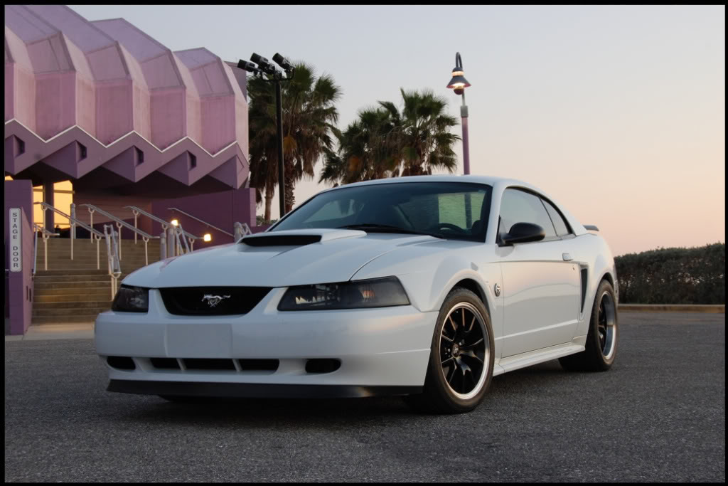 Name:  DSC_1427-1.jpg
Views: 61
Size:  104.3 KB