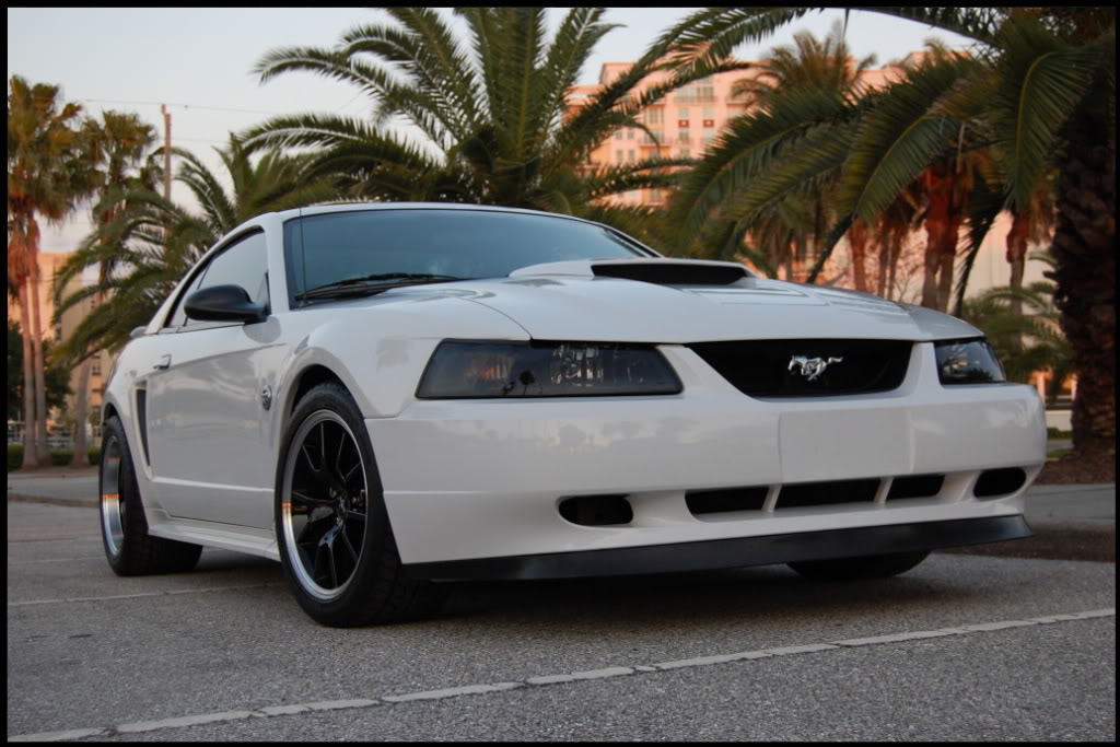 Name:  DSC_1370-1.jpg
Views: 58
Size:  123.2 KB