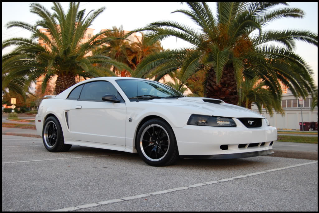 Name:  DSC_1362-1.jpg
Views: 58
Size:  174.0 KB