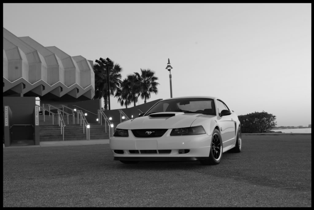 Name:  DSC_1423-1.jpg
Views: 45
Size:  71.5 KB