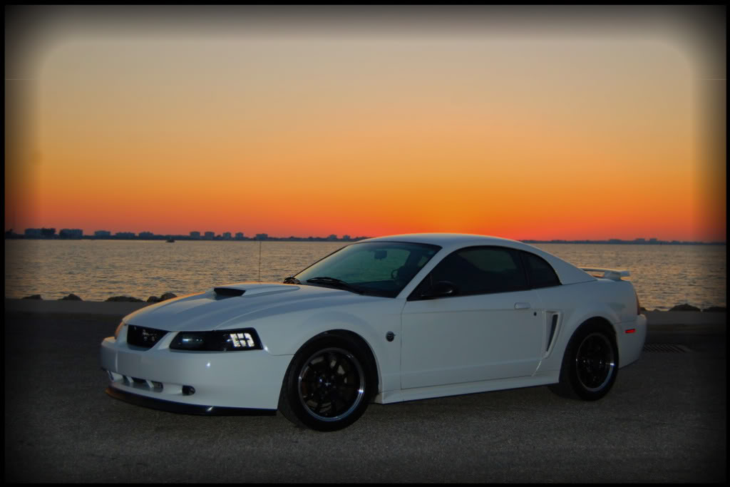 Name:  DSC_1395-1.jpg
Views: 32
Size:  61.3 KB