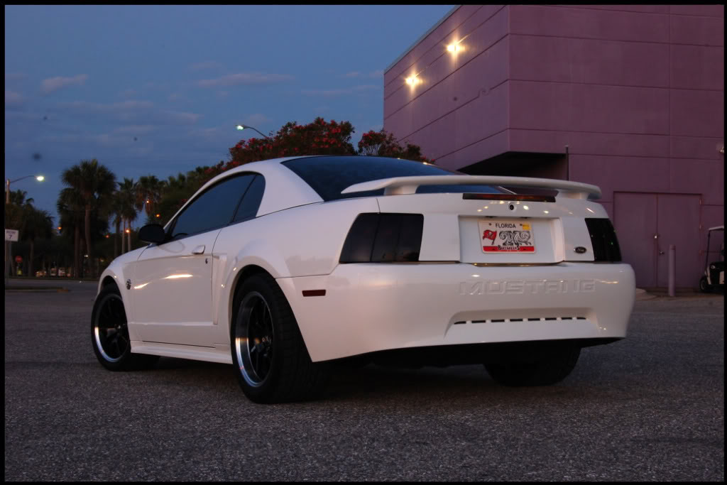 Name:  DSC_1438-2.jpg
Views: 49
Size:  89.5 KB