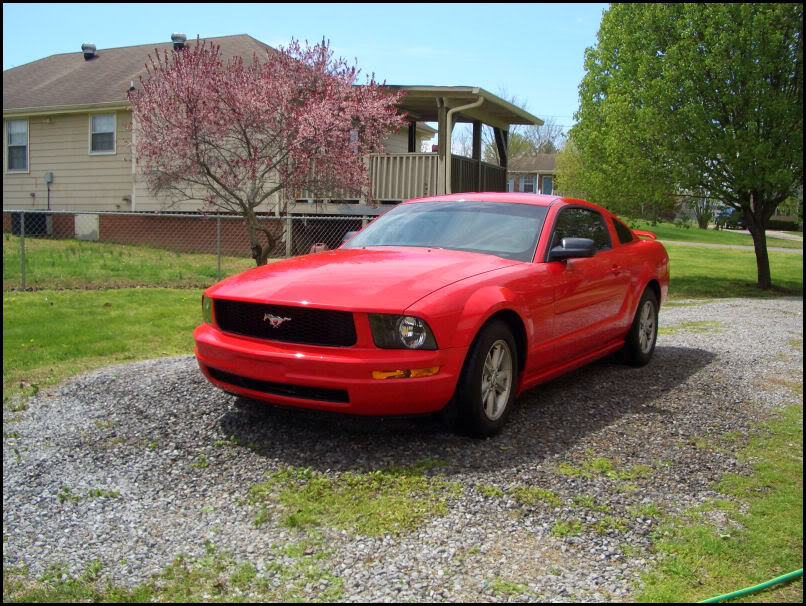 Name:  CIMG4330.jpg
Views: 56
Size:  165.0 KB