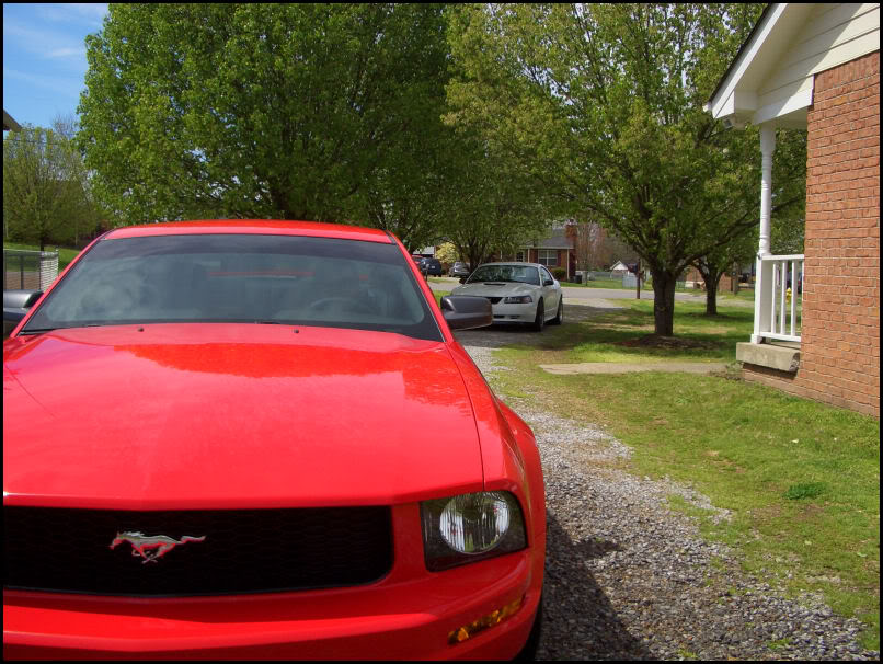 Name:  CIMG4336.jpg
Views: 20
Size:  144.9 KB