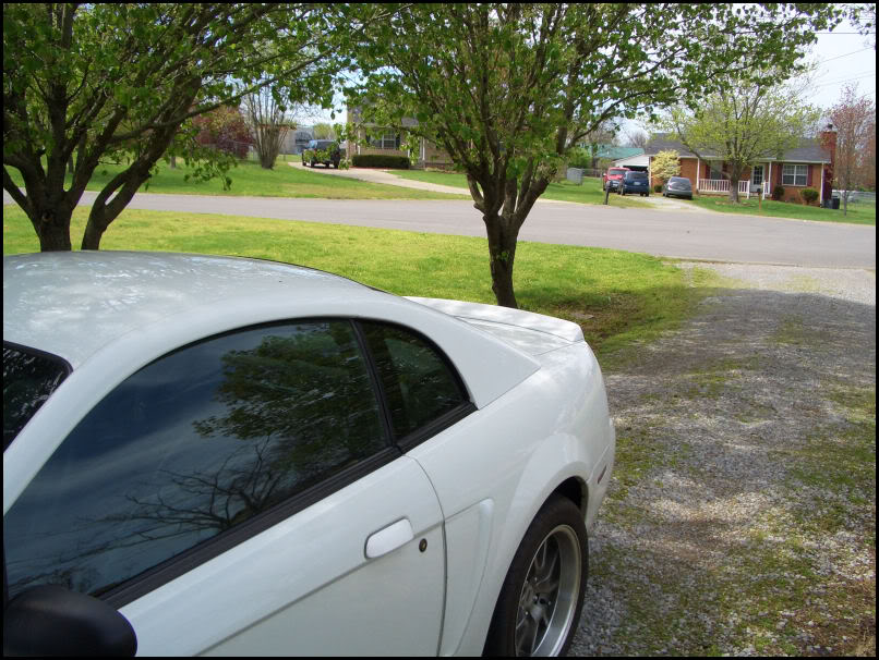 Name:  CIMG4317.jpg
Views: 45
Size:  146.1 KB