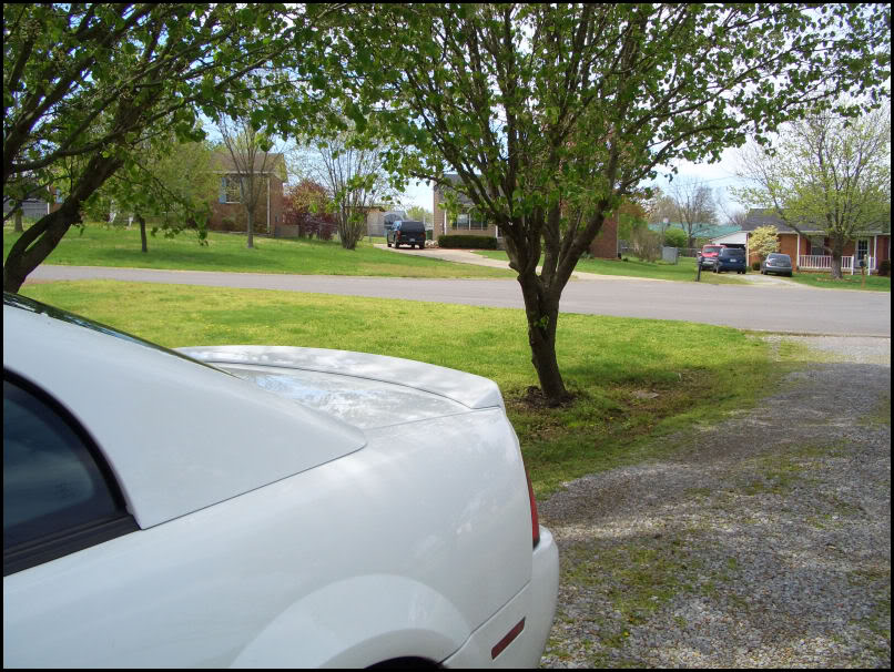 Name:  CIMG4318.jpg
Views: 43
Size:  157.9 KB