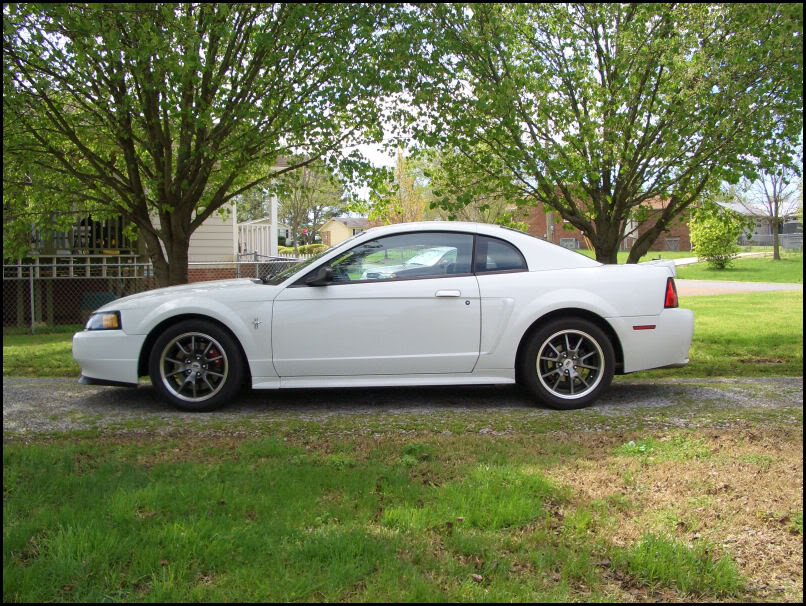 Name:  CIMG4319.jpg
Views: 43
Size:  186.9 KB