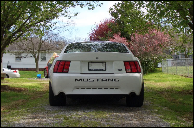 Name:  CIMG4320.jpg
Views: 29
Size:  150.7 KB