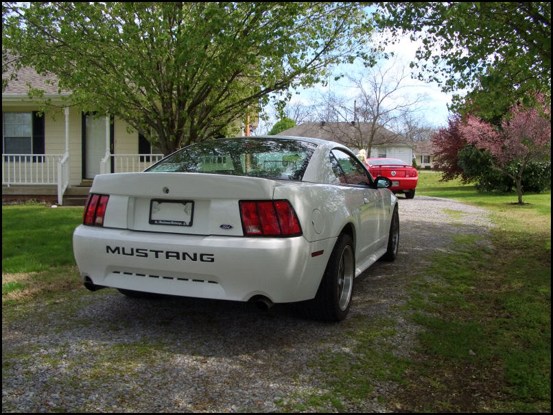 Name:  CIMG4323.jpg
Views: 59
Size:  166.1 KB