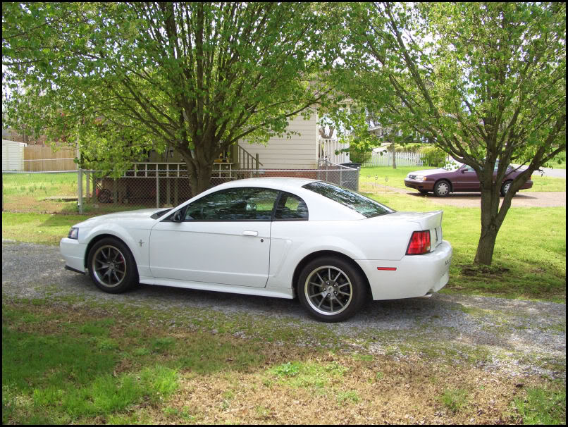 Name:  CIMG4328.jpg
Views: 44
Size:  189.1 KB