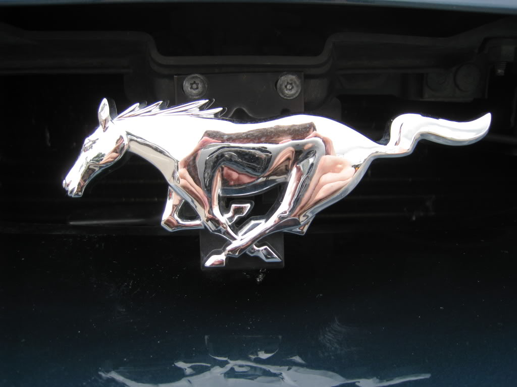 Name:  summer111.jpg
Views: 66
Size:  69.6 KB