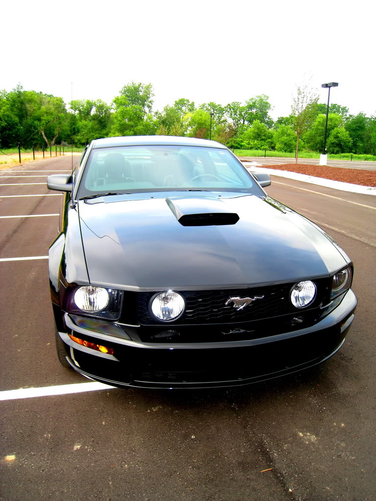 Name:  MustangTop.jpg
Views: 29
Size:  157.0 KB