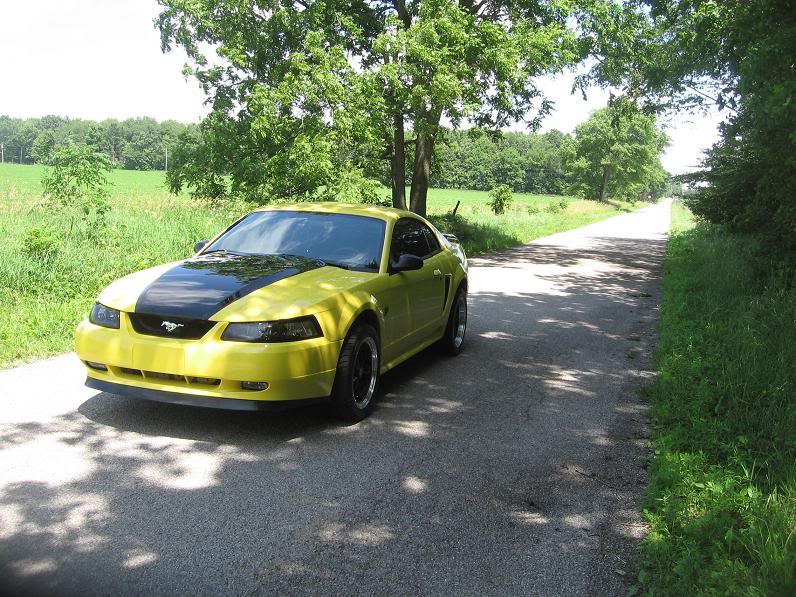 Name:  Picture269.jpg
Views: 31
Size:  130.3 KB