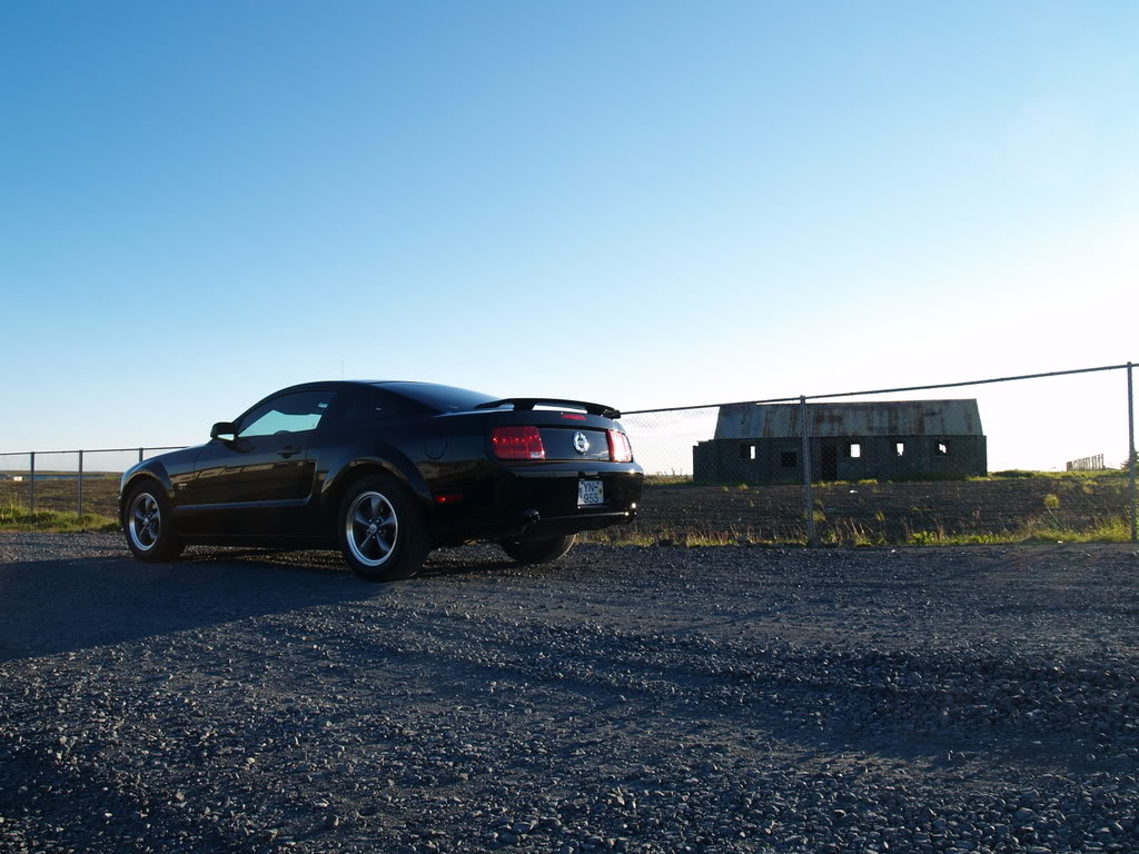 Name:  Mustang05008.jpg
Views: 40
Size:  148.7 KB