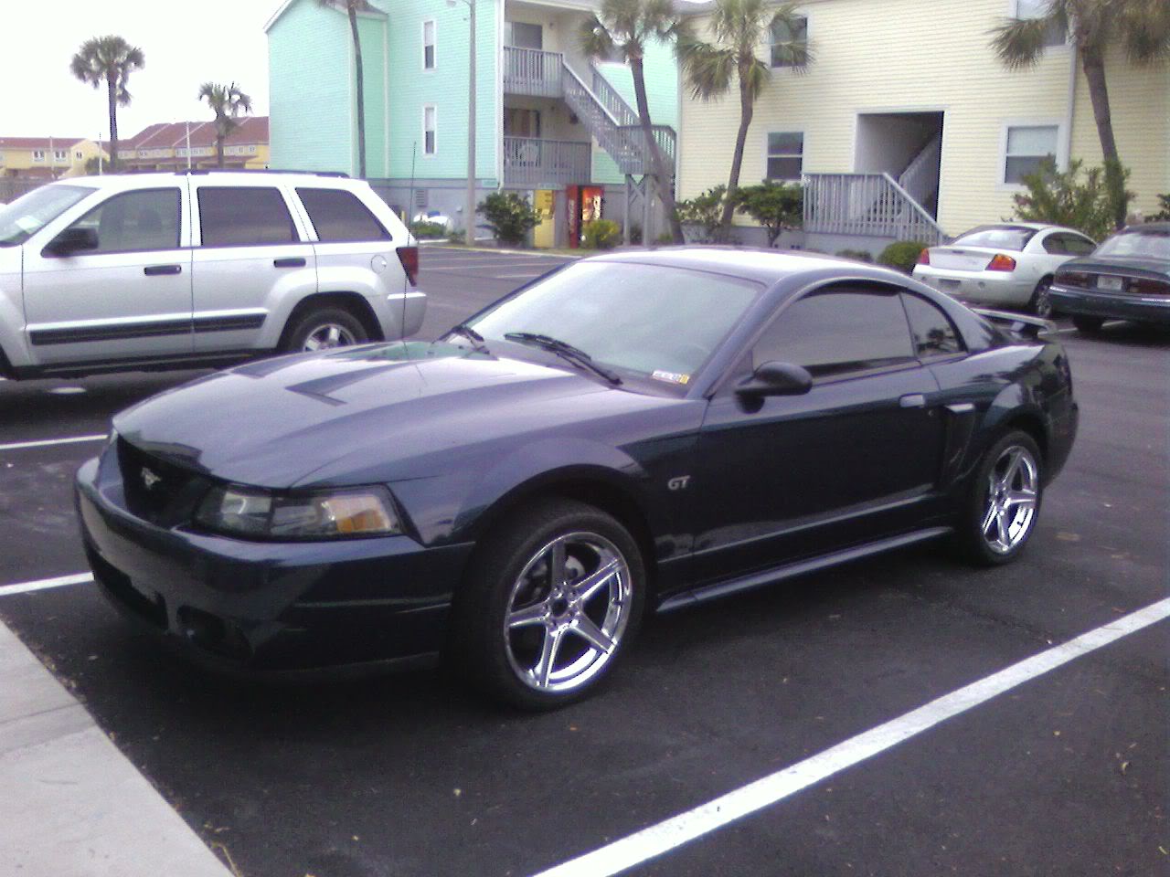 Name:  must2.jpg
Views: 47
Size:  146.6 KB