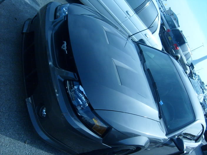 Name:  S6300128.jpg
Views: 34
Size:  94.1 KB