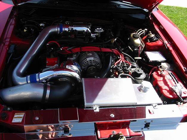 Name:  MikeDan4.jpg
Views: 58
Size:  56.1 KB