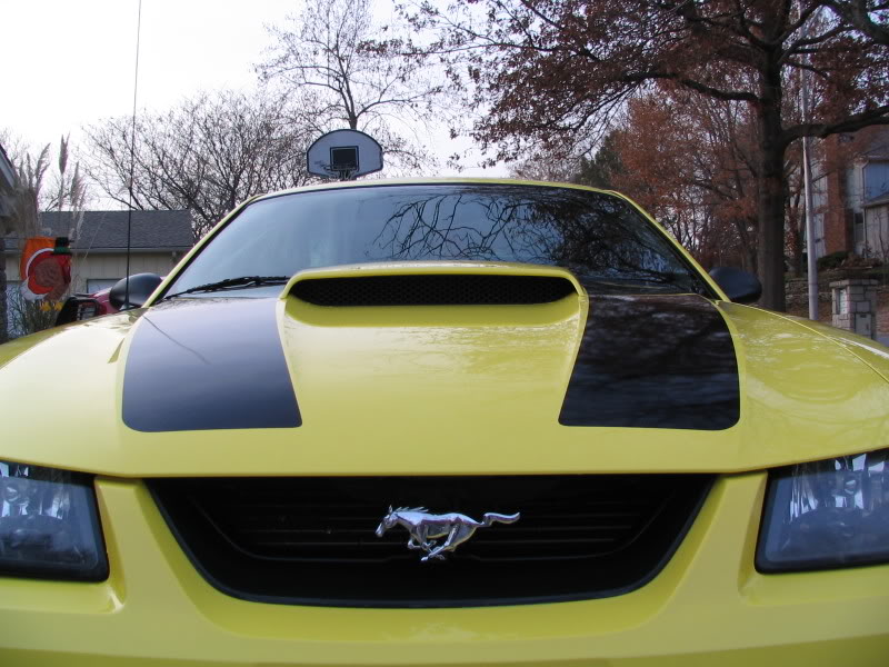 Name:  Mustang9.jpg
Views: 22
Size:  99.4 KB
