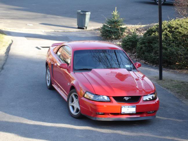 Name:  mustanghighshot.jpg
Views: 32
Size:  49.5 KB